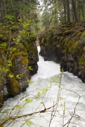 rogue river gorge (Small)
